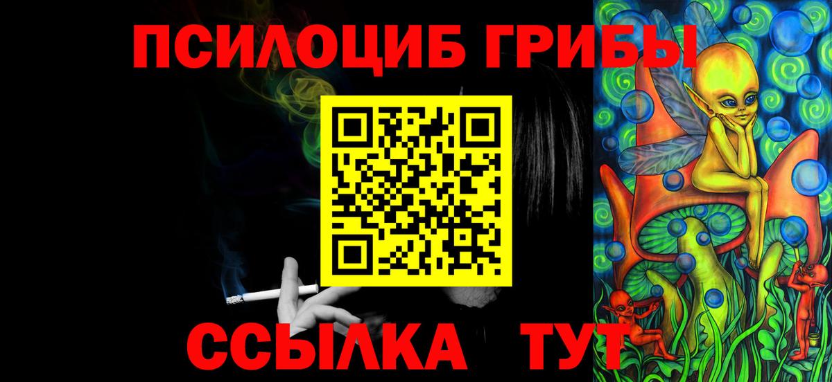 Галлюциногенные грибы Psilocybe Бор